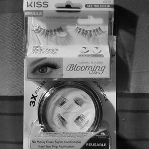 Lashes